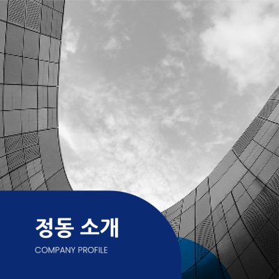 company overview_01